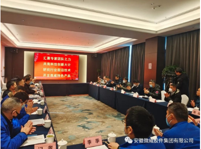 安徽微威膠件集團(tuán)有限公司 安徽微威膠件集團(tuán)有限公司