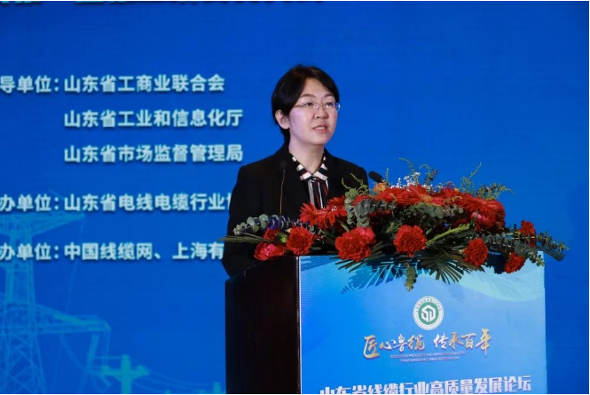 山東省工業(yè)和信息化廳裝備產(chǎn)業(yè)處副處長齊采芹指出，山東省電線電纜行業(yè)協(xié)會的成立和發(fā)展，對于加強線纜行業(yè)內(nèi)交流與合作、推動技術(shù)工藝標(biāo)準化升級、搶抓細分領(lǐng)域核心優(yōu)勢、加快培育特色產(chǎn)業(yè)集群等有重要積極的意義，希望借助優(yōu)勢企業(yè)，開展特色產(chǎn)業(yè)集群培育、制造業(yè)創(chuàng)新中心建設(shè)、大中小梯次企業(yè)培育、數(shù)字化轉(zhuǎn)型升級。