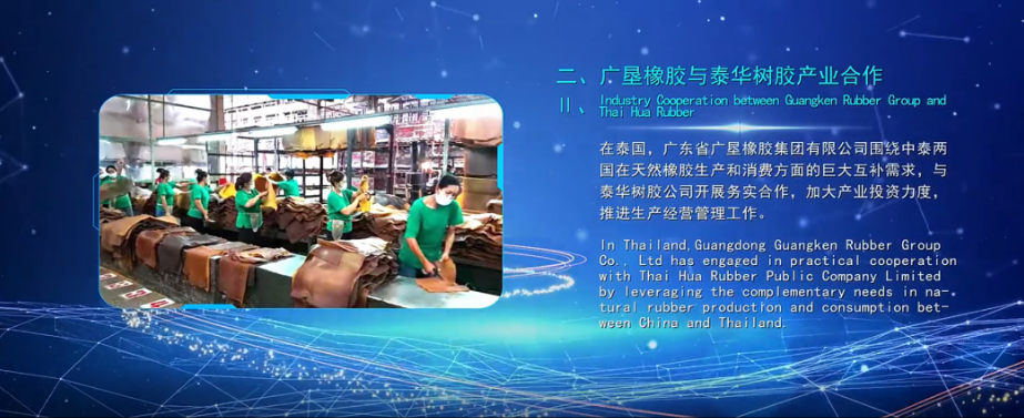 “廣墾橡膠與泰華樹(shù)膠產(chǎn)業(yè)合作”入選中國(guó)熱作產(chǎn)業(yè)十大國(guó)際合作發(fā)展案例