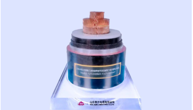 展望未來，泰開電纜表示將繼續(xù)發(fā)揮科研平臺在關(guān)鍵技術(shù)攻關(guān)、科技成果轉(zhuǎn)化、創(chuàng)新人才培養(yǎng)、產(chǎn)學(xué)研協(xié)同發(fā)展等方面的重要作用，力爭實(shí)現(xiàn)新產(chǎn)品、新技術(shù)、新工藝方面的再突破，助力行業(yè)和產(chǎn)業(yè)鏈的協(xié)同發(fā)展!