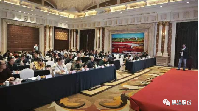各參會嘉賓齊聚一堂，會場氣氛熱烈，會談內(nèi)容豐富。通過本次推介會，黑貓股份與參會企業(yè)之間的距離得以拉近，工作思路也得以拓寬，為公司未來的高質(zhì)量蓬勃發(fā)展奠定了堅實基礎。