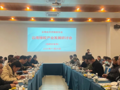 “天然橡膠產(chǎn)業(yè)發(fā)展研討會(huì)”在昆明官渡古鎮(zhèn)成功召開(kāi)