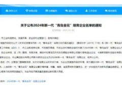 青島公布2024“青島金花”企業(yè)名單，輪胎三杰上榜！