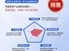 預售 | 2025版中國炭黑行業(yè)年鑒