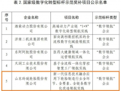 玲瓏輪胎榮獲國家級“數(shù)字領(lǐng)航企業(yè)”稱號